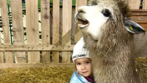 Safari és Családi Élménypark 'VIP' belépőjegy – Vár Titeket Békés megye vadonja! 26