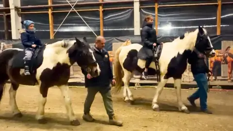 Safari és Családi Élménypark 'VIP' belépőjegy – Vár Titeket Békés megye vadonja! 35