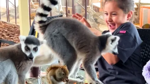 Safari és Családi Élménypark 'VIP' belépőjegy – Vár Titeket Békés megye vadonja! 33