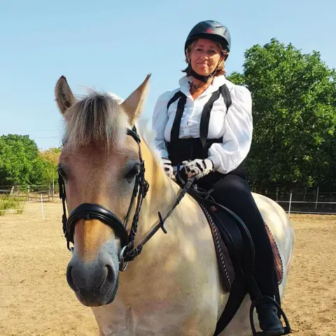 Mini állatsimogató + Élménylovaglás elbűvölő Fjord lovakkal Monoron