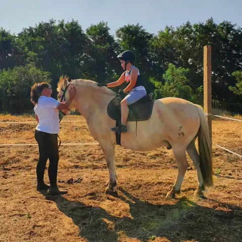 Élménylovaglás elbűvölő Fjord lovakkal Monoron