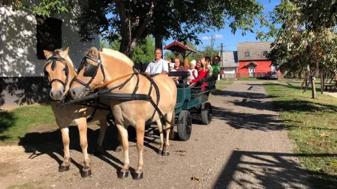 Romantikus hintózás kettesben Monor tájain – Elbűvölő Fjord lovakkal a fogatban! 1