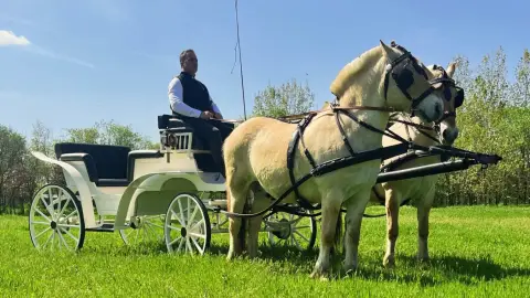 Romantikus hintózás kettesben Monor tájain – Elbűvölő Fjord lovakkal a fogatban! 2