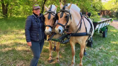 Romantikus hintózás kettesben Monor tájain – Elbűvölő Fjord lovakkal a fogatban! 4