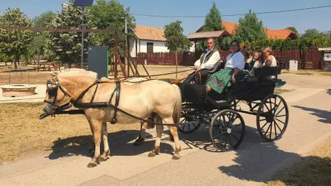 Romantikus hintózás kettesben Monor tájain – Elbűvölő Fjord lovakkal a fogatban! 11