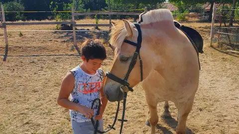 Mini állatsimogató + Élménylovaglás elbűvölő Fjord lovakkal Monoron 5