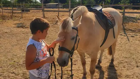 Mini állatsimogató + Élménylovaglás elbűvölő Fjord lovakkal Monoron 6