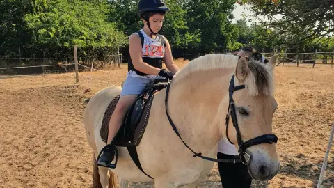 Mini állatsimogató + Élménylovaglás elbűvölő Fjord lovakkal Monoron 7