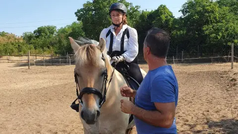 Mini állatsimogató + Élménylovaglás elbűvölő Fjord lovakkal Monoron 10