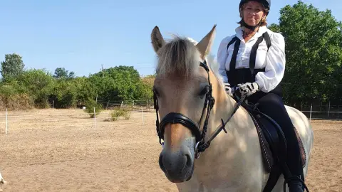 Mini állatsimogató + Élménylovaglás elbűvölő Fjord lovakkal Monoron 12