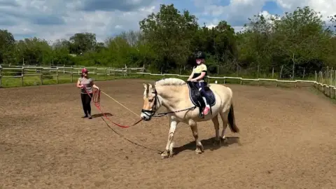 Mini állatsimogató + Élménylovaglás elbűvölő Fjord lovakkal Monoron 20