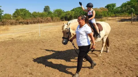 Mini állatsimogató + Élménylovaglás elbűvölő Fjord lovakkal Monoron 23