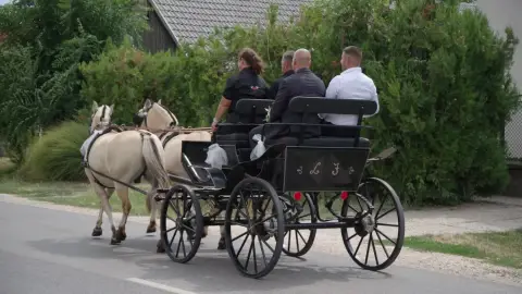 Romantikus hintózás kettesben Monor tájain – Elbűvölő Fjord lovakkal a fogatban! 18