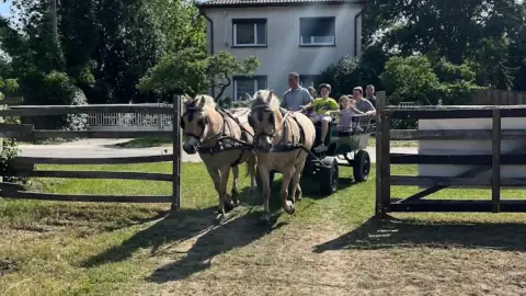Romantikus hintózás kettesben Monor tájain – Elbűvölő Fjord lovakkal a fogatban! 20
