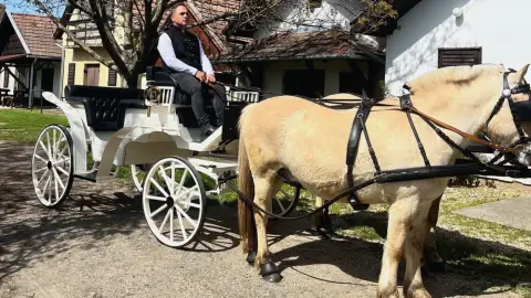 Romantikus hintózás kettesben Monor tájain – Elbűvölő Fjord lovakkal a fogatban! 23