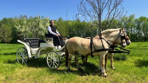 Romantikus hintózás kettesben Monor tájain – Elbűvölő Fjord lovakkal a fogatban! 24
