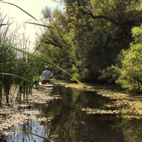 Vadregényes SUP Túra az Ipolyon