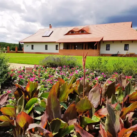 Vidéki menedék Cserkeszőlőn: 2 éjszaka a Győri Lovastanyán