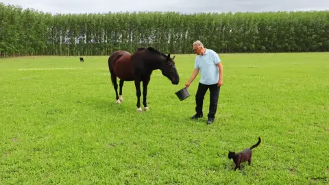 Vidéki menedék nagy társaságnak: Privát lovastanya Cserkeszőlőn 13+1 főre 5