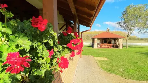 Vidéki menedék nagy társaságnak: Privát lovastanya Cserkeszőlőn 13+1 főre 8