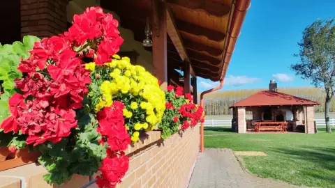 Vidéki menedék nagy társaságnak: Privát lovastanya Cserkeszőlőn 13+1 főre 14
