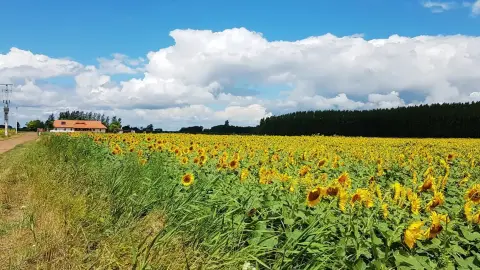 Vidéki menedék nagy társaságnak: Privát lovastanya Cserkeszőlőn 13+1 főre 19