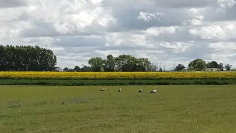 Vidéki menedék nagy társaságnak: Privát lovastanya Cserkeszőlőn 13+1 főre 13