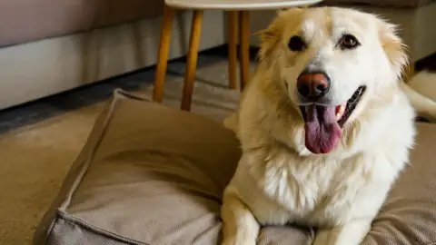 Elbűvölő luxus a magyar vidék szívében: Fehér Borház – 2 éjszaka kettesben Szigetváron 27