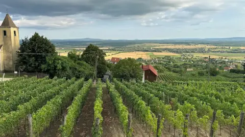 Idilli elvonulás Fenn a Hegyen Vendégházban a Somló tetején 6