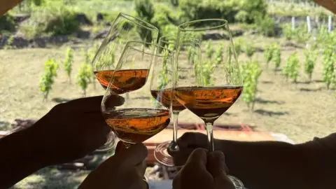 Idilli elvonulás Fenn a Hegyen Vendégházban a Somló tetején 4