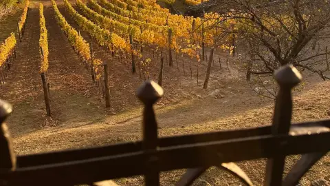 Idilli elvonulás Fenn a Hegyen Vendégházban a Somló tetején 2