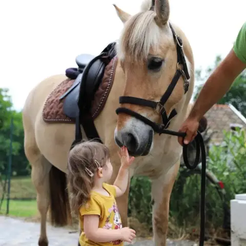 Különleges Fjord lovas élmények a családdal Monoron
