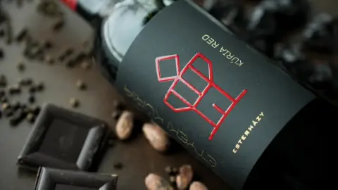 Exkluzív helikopteres bortúra az Etyeki Kúria Pezsgőbirtokán, Budaörsről indulva 1