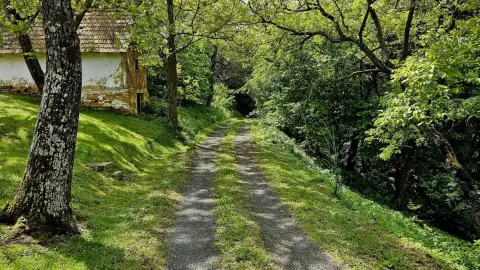 Kikapcsolódás kettesben a Mámor Kuckóban, Kistolmácson 1