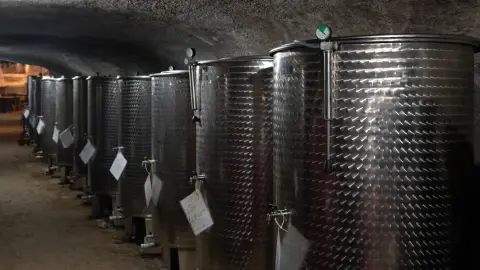 5 tételes borkóstoló pincetúrával Szentendrén - Rustica Borműhely 6