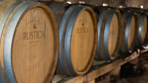 5 tételes borkóstoló pincetúrával Szentendrén - Rustica Borműhely 7