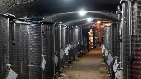 5 tételes borkóstoló pincetúrával Szentendrén - Rustica Borműhely 16