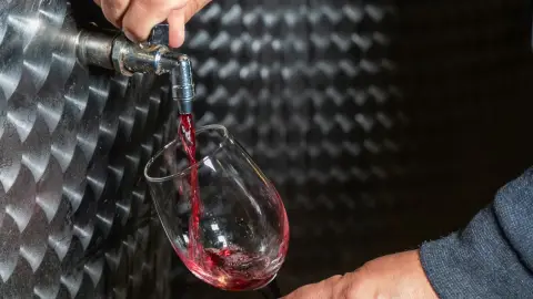 5 tételes borkóstoló pincetúrával Szentendrén - Rustica Borműhely 12