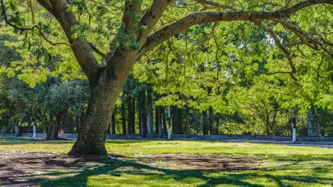 Szárnyaló nyaralás /World of Adventures szabadtéri játék Zalakaroson 1