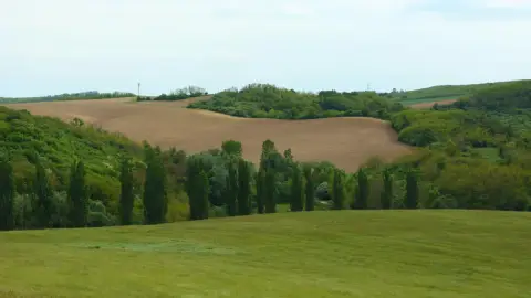 CSEPEL D344 – Teherautó élményvezetés a MultiShoot City Élményparkban 2