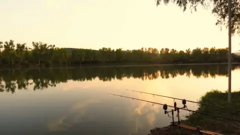 24 órás pecamaraton Gyöngyösön – Profi vezetővel és fogási garanciával! 4