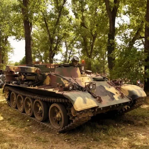 Tankvezetés VT-55 harckocsival Balatonakalin