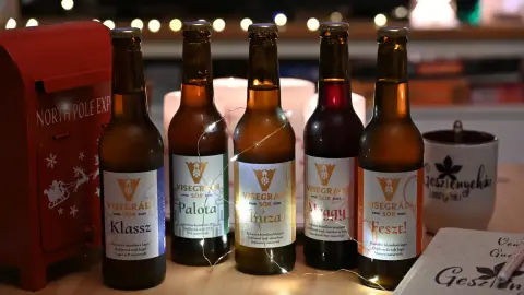 Lopott hétköznapi kiruccanás - 1 éjszaka a mesés Dunakanyarban! 27