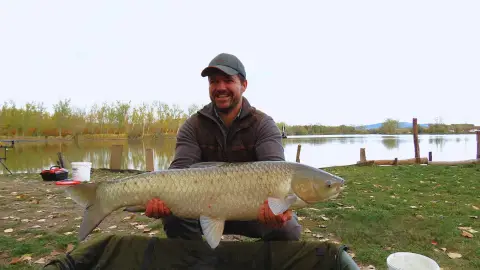 24 órás pecamaraton Gyöngyösön – Profi vezetővel és fogási garanciával! 11