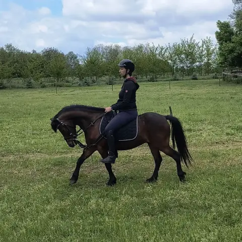 Élménylovaglás a Kövér Ranch-on, Nagytarcsán