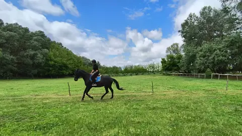 Élménylovaglás a Kövér Ranch-on, Nagytarcsán 3