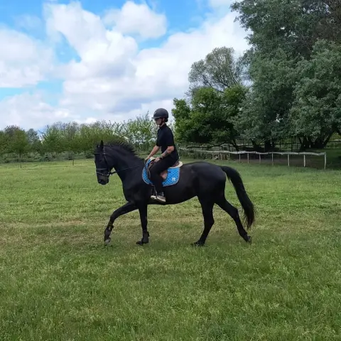 Lovas oktatás a Kövér Ranch-on, Nagytarcsán