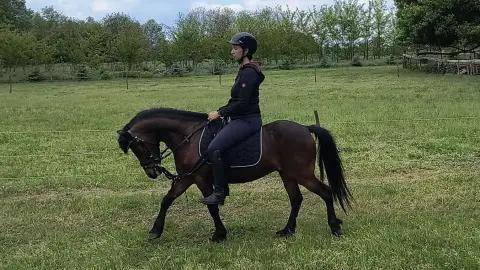 Lovas oktatás a Kövér Ranch-on, Nagytarcsán 3