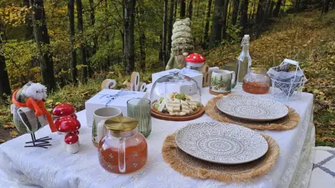 Klasszikus piknik Dobogókőn egy üveg borral 5