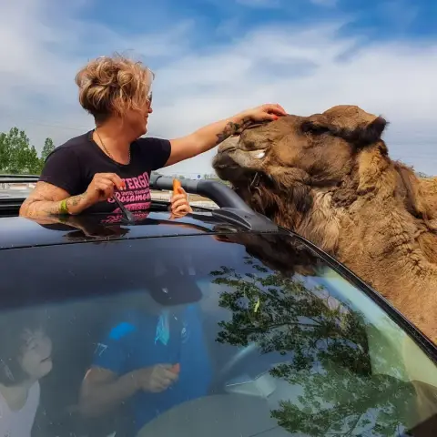 Állati kaland Anyuval: Safari és Családi Élménypark – Vár Titeket Békés megye vadonja!